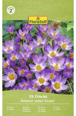 Obrázek produktu pro Krokusy FloraSelf 'Tricolor' 15 ks
