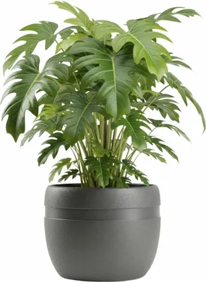 Produktbild von HowHomely | Blumenkübel - Pflanzentopf - B40xH32 cm - grau - Blumentopf - Übertopf - Dekorativ