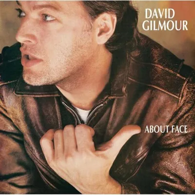 Obrázok produktu pre David Gilmour: (Remastered)