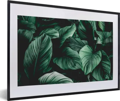 Produktbild von MuchoWow® Gerahmtes Poster Dschungel - Blätter - Tropisch - Pflanzen - Natur 60x40 cm - Poster mit Schwarzem Bilderrahmen Wandposter Rahmen Foto Bilder - Schlafzimmer - Plakat in Rahmen - Drucken