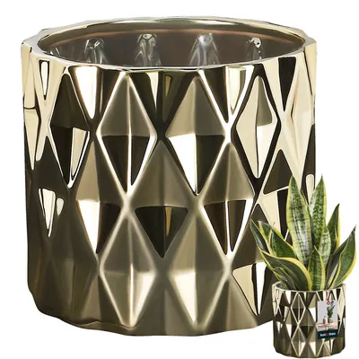 A gold ceramic planter with a geometric pattern, shown with a small snake plant in a smaller version of the same planter.