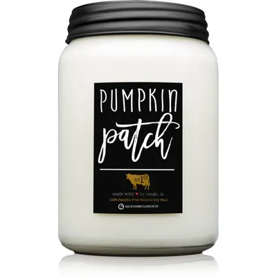Immagine prodotto di Milkhouse Candle Co. Candela profumata Farmhouse Pumpkin Patch 737 G