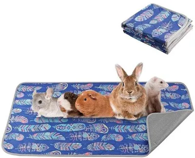 Produktbild von Famanu Set von 2 Plasmamatten 122x61 cm, waschbar und absorbierend