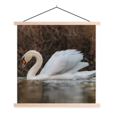 Produktbild von MuchoWow® Textilposter Schwan - Wasser - Tiere - Vogel 60x60 cm mit holzfarbenen Rahmen - Wanddekoration