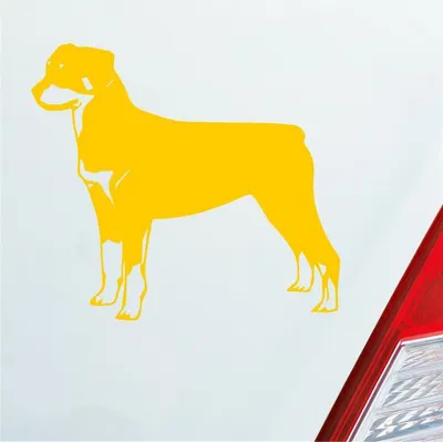 Produktbild von Auto Aufkleber Rottweiler Tier Hund Dog Animal 11x10 cm Gelb Sticker Heckscheibenaufkleber