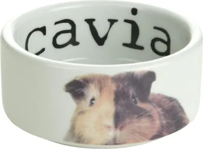 Immagine prodotto di Ciotola in Vetroceramica per conigli domestici Beeztees