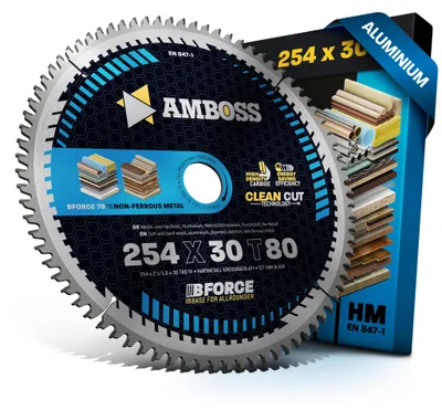 Obrázek produktu pro Pila kotoučová, průměr 254 mm, 80 zubů, určená pro řezání hliníku
