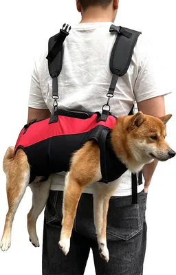 Produktbild von INF Haustier-Tragerucksack für kleine Hunde und Katzen M