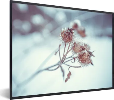 Produktbild von MuchoWow® Gerahmtes Poster Pflanzen - Winter - Schnee - Natur 80x60 cm - Poster mit Schwarzem Bilderrahmen Wandposter Rahmen Foto Bilder - Schwarzem - Mit Gestell