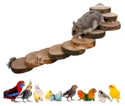 Produktbild von Vogelleiter – 30 cm Übungskletterer, Seilbrücke | Sitzstangenzubehör für Nymphensittiche und Finken