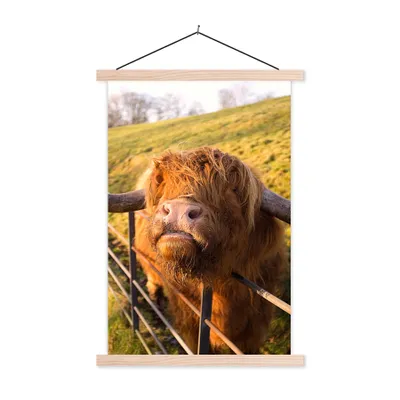 Produktbild von MuchoWow® Textilposter Scottish Highlander - Zaun - Gras 60x90 cm mit holzfarbenen Rahmen - Textil