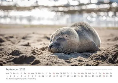 Immagine prodotto di Calendario "Edition Seidel Premium", tema "Al mare sono felice", anno 2025, formato DIN A3