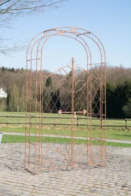 Produktbild von TPFGarden Rosenbogen mit Tor Melia antik braun