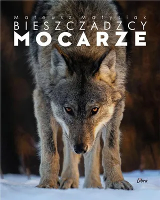 Zdjęcie produktu dla Bieszczadzcy mocarze