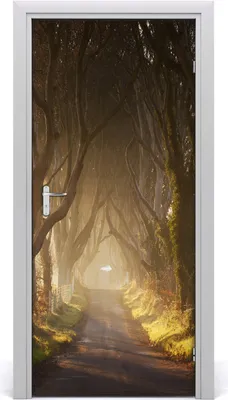 Produktbild von Tulup Türaufkleber 95x205 cm Dekorative Aufkleber Selbstklebend Wasserdichte Tapete Abnehmbar Schlafzimmer Wohnzimmer Wohnkultur - Weg im Wald