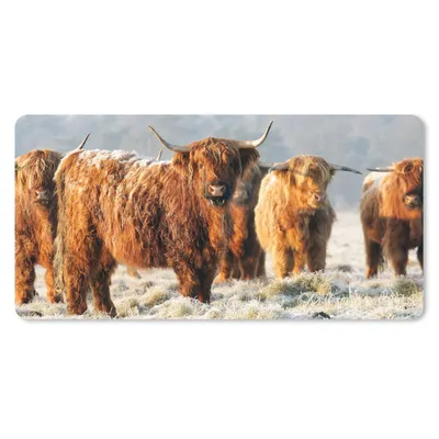 Produktbild von MuchoWow® Schreibtischunterlage Schottische Highlander - Schnee - Wald 80x40 cm - XXL Mauspad - Gaming Mauspad
