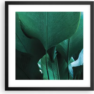 Produktbild von Gerahmtes Poster - Schwarzer Rahmen - Blätter Palmen Banane - 40x40 cm - Wand Bild - Wanddeko - Wandbilder - Kunstposter - Wandposter - Bilderrahmen - Bilder - Kunstdruck - P2BAC40x40-4694
