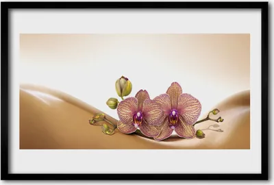 Produktbild von Bild 60x40 MDF-Rahmen Wandkunst Bäume pflanzen Natur