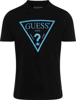 Image de T-shirt Guess 200300100039 pour Homme