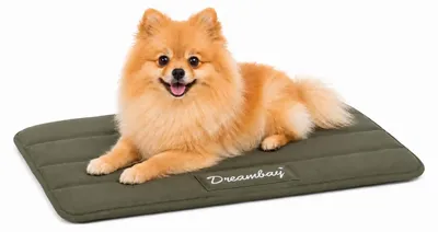 Immagine prodotto di Cuccia per cani Flamingo - lettino ortopedico per gatti Dreambay® verde oliva - antiscivolo