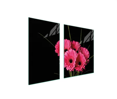 Immagine prodotto di Piastre copri fornelli 2 pezzi 100x52 Copri piano cottura in Vetroceramica tagliere in vetro Gerbera Pink