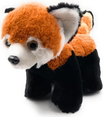 Image de Onwomania Peluche Doudou Oursons de chat Prédateur Panda roux Longueur 26 cm Marron