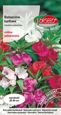 Produktbild von [NA] Balsamina (Impatiens) Saatgutmischung - Torseed