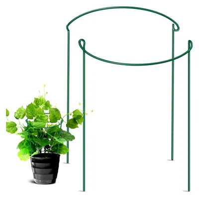 Produktbild von Pflanzenstütze Staudenhalter Metall, 2 Stück Grün Rund für Blumen und Rankengewächse