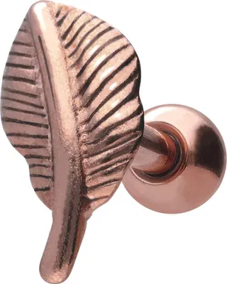 Produktbild von Ohrpiercing Chirurgenstahl Ohrpiercing FEDER