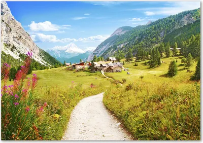 Produktbild von Tulup® Glas-Bild - 100 x 70 - Wandbild aus Glas - Wandkunst - Wandbild hinter gehärtetem Sicherheitsglas - Landschaften - Alm Weide Alpen - Grün