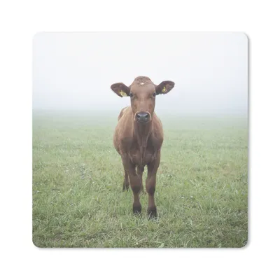 Produktbild von MuchoWow® Mauspad Mousepad Kuh - Nebel - Gras 20x20 cm - Mousepads - Maus Mat - Pad - Mausunterlage - Desk Mat - Bureauartikeln
