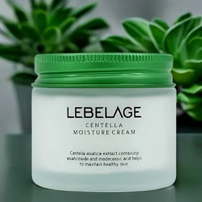 Obrázek produktu pro LEBELAGE - Centella Moisture Cream - Vyživující a zklidňující krém s centelou - 70 ml