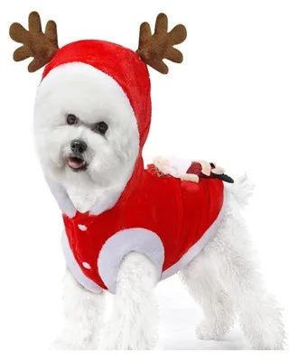 Imagen del producto de Disfraces para perros - Traje de Papá Noel, jersey de ciervo - Cálido y cómodo - Talla B - L