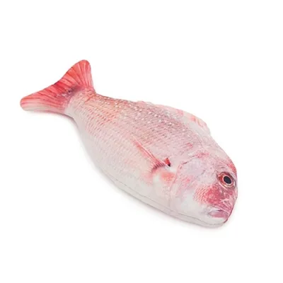 Produktbild von Jolly Moggy Moggy Natural Catnip Red Snapper