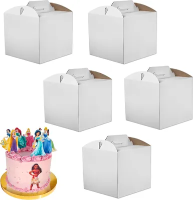 Obrázek produktu pro balení 5 dortových krabic 34×34×25 cm Bílá Sada 5 extra robustních krabic Brand4Cake