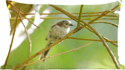 Produktbild von MuchoWow® Zierkissen Sofakissen Wohnzimmer Dekokissen 50x30 cm Vogel zwischen den Zweigen - Wohnzimmerdekoration - Polster mit Photo