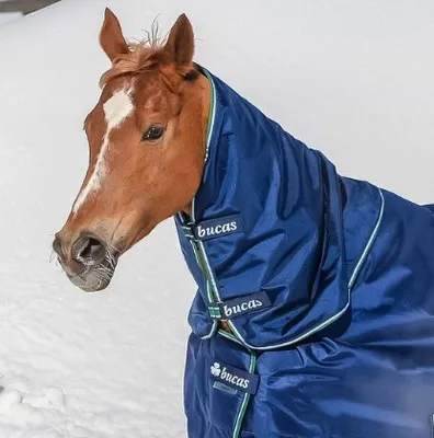 Produktbild von Bucas Smartex Combi Neck Halsteil 0 g in zwei Farben, Farbe:Blue, Größe:XXS