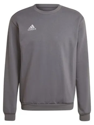 Image de Adidas - Sweat-shirt « Entrada 22 » pour homme PP1509 (M) (gris)