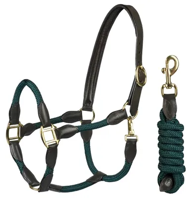 Immagine prodotto di Collare in cuoio con corda e guinzaglio, colore verde, taglia full