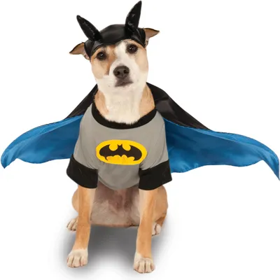 Produktbild von Rubie‘s Official DC Batman-Kostüm für große Hunde, Größe XXL, Hals bis Schwanz 9