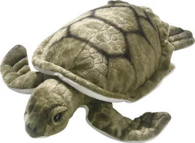 Image de Carl Dick Tortue, Tortue de mer, Tortue d'eau ca. 31cm 3323 Doudou, peluche, animal en peluche