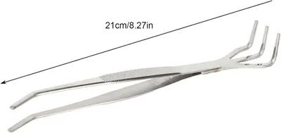 Image de Outil 2 en 1 pour bonsaï : pince à racines et spatule, en acier inoxydable, pour les plantes et les jardins