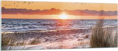 Produktbild von Bilder auf glas - Einteilig - Sonne Strand Vögel - 140x50cm - Glasbilder - Wandbilder - Bilder - zum Aufhängen bereit - Wanddekoration aus Glas - Glas Bilder - Wandbild auf Glas - GAB140x50-4727