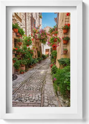 Produktbild von Eine blumenreiche Straße in Italien– Wandbild mit Rahmen – Gerahmtes Bild  – Wanddekoration – 20x30 cm – Weiß