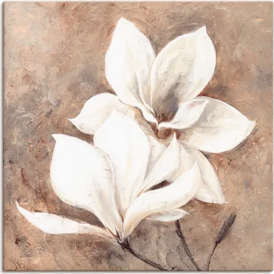 Produktbild von ARTland Leinwandbild Klassische Magnolien Größe: 100x100 cm