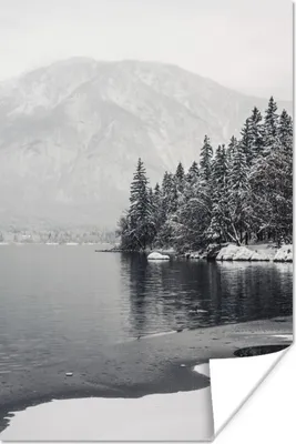 Produktbild von MuchoWow® Poster Wasser - Winter - Natur - Kiefernbaum 80x120 cm - Papierdruck