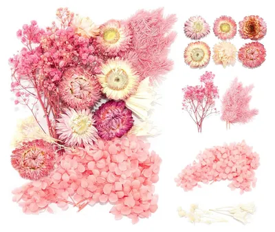 Trockenblumen-Set, natürliche konservierte Blumen, 1 Packung