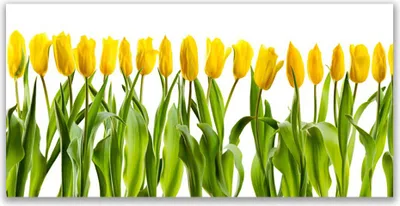 Produktbild von Glasbilder 140x70 Wandbild Druck auf Glas Tulpen Pflanzen