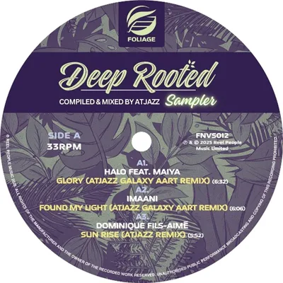 Produktbild von Various Artists - Deep Rooted (Compiled & Mixed By Atjazz) Vinyl Sampler (Limited Edition) (LP)
