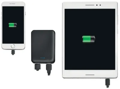Produktbild von LogiLink Mobiler Zusatzakku 5.000 mAh 2x USB weiß